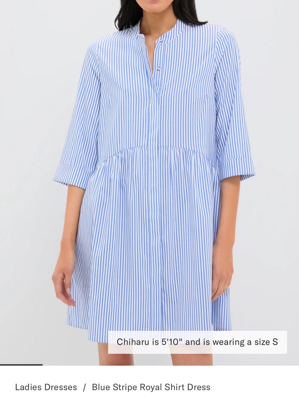 Tuckernuck Blue and White Royal Shirt dress